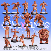Norses - Mold Casted Celthunders Norse Team of 16 Players with Snow Troll - RN Estudio