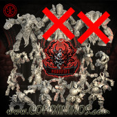Evil Chosen - Gorefist Team B1 of 16 Players with Minotaur and without Helmets - TorchLight