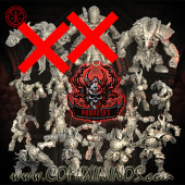 Evil Chosen - Gorefist Team A3 of 16 Players with Troll and Helmets - TorchLight